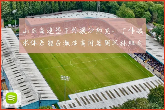 山东高速签下外援沙约克，丁伟战术体系能否激活高诗岩陶汉林组合？